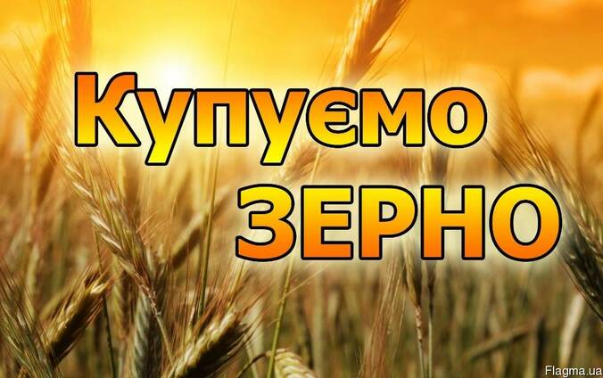 Купуємо Тритикале
