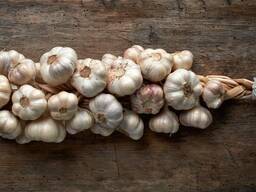 Купуємо часник, квасолю