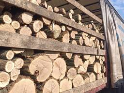 Купуємо дрова твердих порід