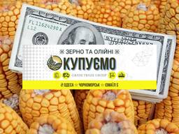 Купуємо Кукурудзу авто потяг порт Одеса Чорномоськ Ізмаїл клас 1-4