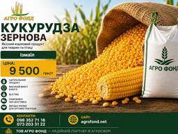 Купуємо кукурудзу оптом | експорт | порт ізмаїл | fca / fob | великі обсяги