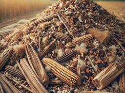 Купуємо некондиційне зерно та зерновідходи