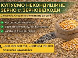 Купуємо некондицію та зерновідходи на постійній основі