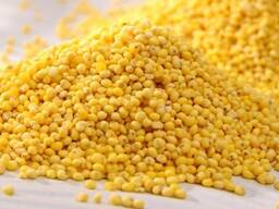 Купуємо Просо жовте