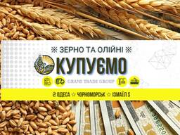 Купуємо Пшеницю авто потяг порт Одеса Чорномоськ Ізмаїл клас 1-4