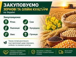 Купуємо зернові, будь які