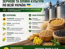 Купуємо зернові, олійні, бобові. База, некондиція