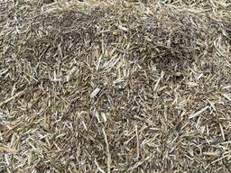 Купуємо зернові відходи