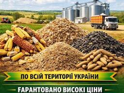 Купуємо зерновідходи, некондицію зернових та олійних