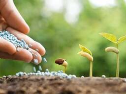 Купимо мале агро господарство, В Україні