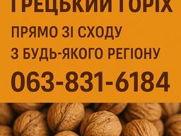 Купимо некондиційний грецький горіх