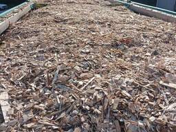 Купимо паливну тріску