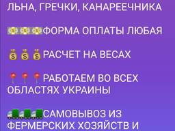 Купити мёртв