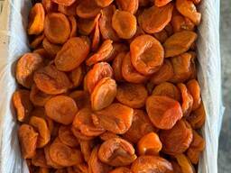 Курага Узбекистан