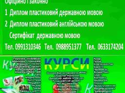 Курси бухгалтер, менеджер, продавец, грумінг, дієтолог, психолог, штукатур