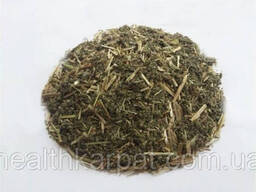 Лабазник Таволга трава 500 грамм