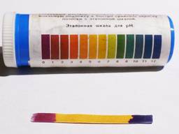 Лакмусовая бумага