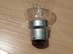 Лампа Ж 110-40