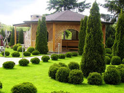 Ландшафтний дизайн. Рівне. Недорого.