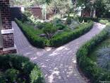 Ландшафтное проектирование - фото 2