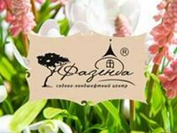 Ландшафтное проектирование