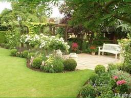 Ландшафтный дизайн. Cтрижка растений в Кременчуге и р-не, газон рулонный