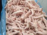 Лапа куриная - фото 1