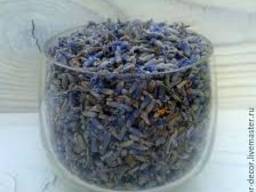 Лаванда сушеная сушена