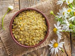 Лекарственная ромашка