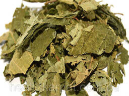 Лещина обыкновенная листья 500 грамм
