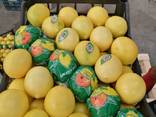 Лимоны - фото 2
