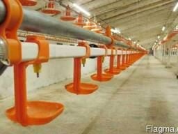 Линия ниппельного поения для птицы