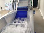 Линия переработки улиток, ленточный конвейер, калибратор, мойка - фото 3
