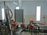 Линия розлива ПЭТ НРП-01.500 для наполнения ПЭТ бутылок по с - фото 3