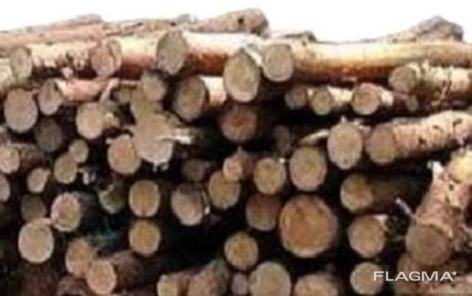 Ліс кругляк, пв дрова, хвойні, листяні , сухостій