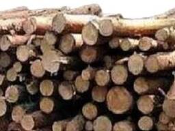 Ліс кругляк, пв дрова, хвойні, листяні , сухостій