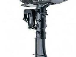 Лодочный мотор Parsun TС5.8 BMS