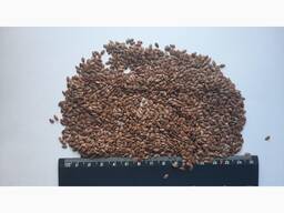 Льон 150 тонн. Хмельницька обл