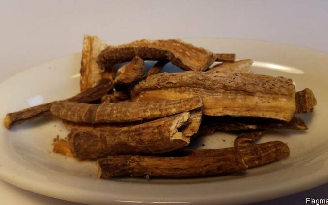 Лопух большой(корень)