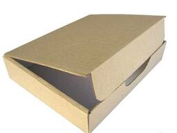 Лоток-футляр 29х23х6см