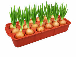 Лоток (поддон) для выращивания лука и рассады луковичница 2.2 л 38 × 16 × 6 см