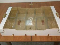 Лоток склеенный под пинетку.