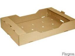 Лоток под виноград с внутренними размерами 497*297*157.