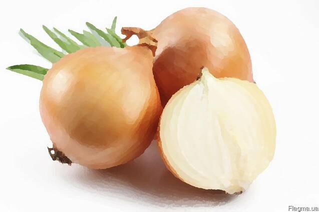 Лук