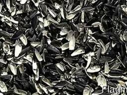 Продам лузгу шелуху подсолничника