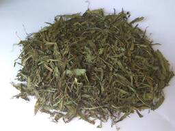 Лист стевії великий