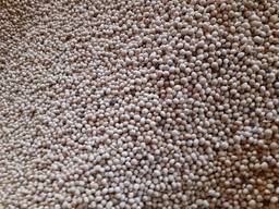 Люпин Кристал