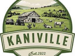 М'ясні консерви, паштети, каші та тушонка