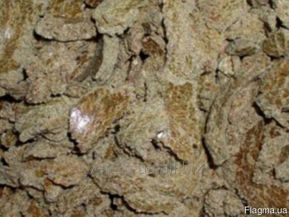 Макуха соняшникова