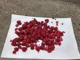 Малина грис